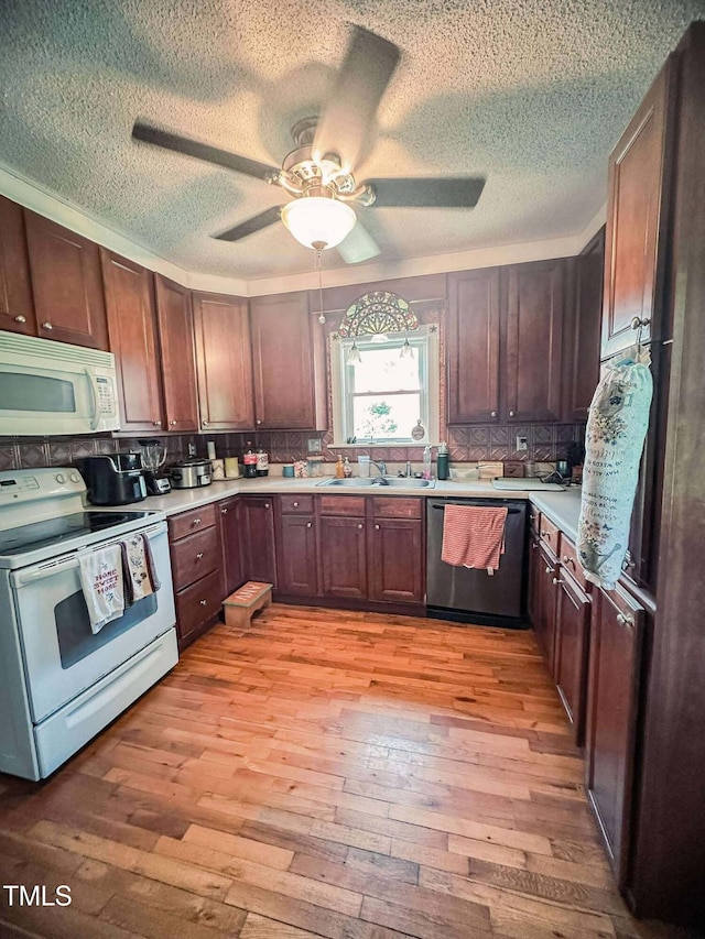 8683 US Highway 15, Bullock, NC 27507 - photo 13