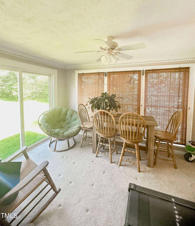 8683 US Highway 15, Bullock, NC 27507 - photo 18