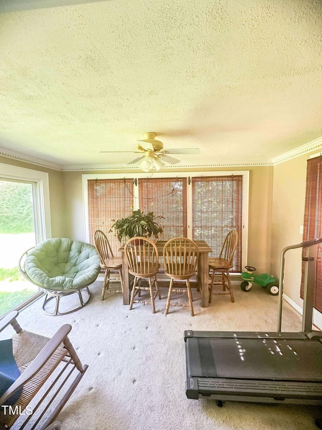 8683 US Highway 15, Bullock, NC 27507 - photo 21