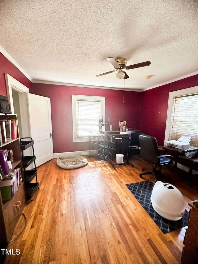 8683 US Highway 15, Bullock, NC 27507 - photo 19
