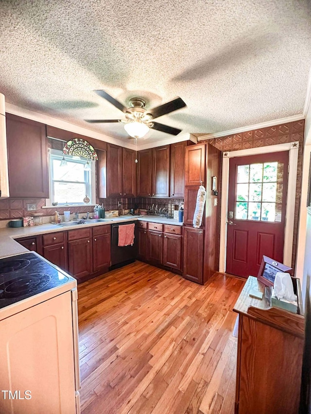 8683 US Highway 15, Bullock, NC 27507 - photo 14