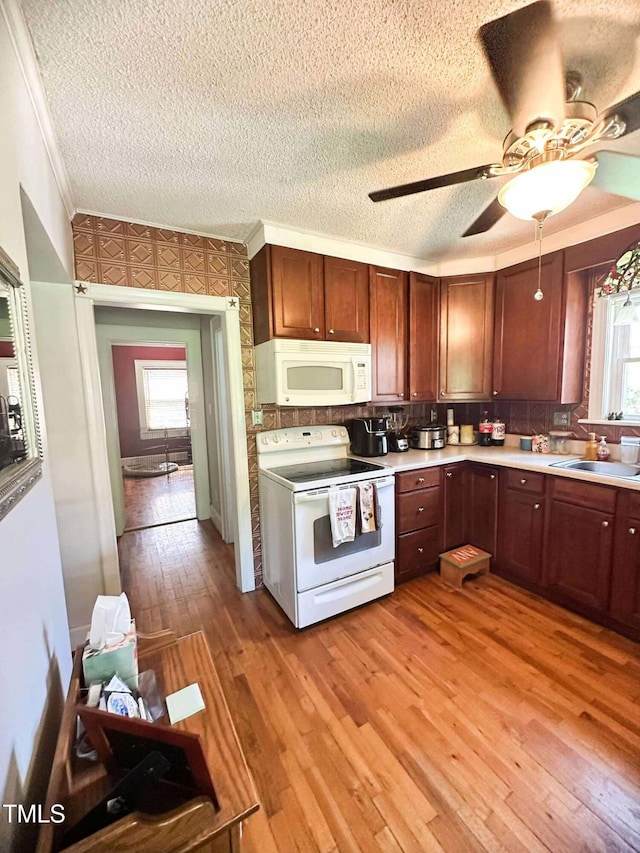 8683 US Highway 15, Bullock, NC 27507 - photo 15