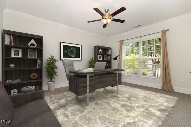 1118 Salinas Valley St, Wake Forest, NC 27587 - photo 11