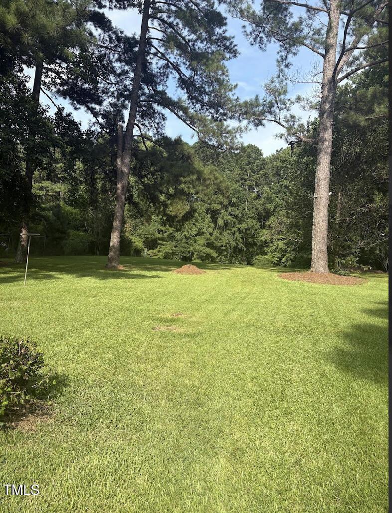 10329 Fanny Brown Rd, Raleigh, NC 27603 - photo 3