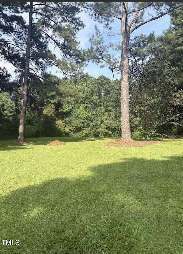 10329 Fanny Brown Rd, Raleigh, NC 27603 - photo 4