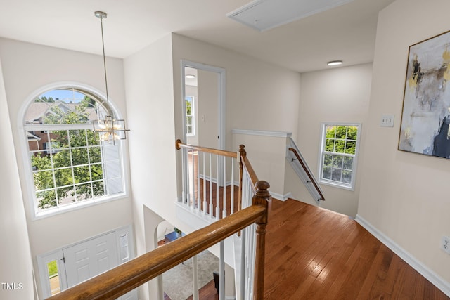 2009 Ambrose Park Ln, Cary, NC 27518 - photo 22