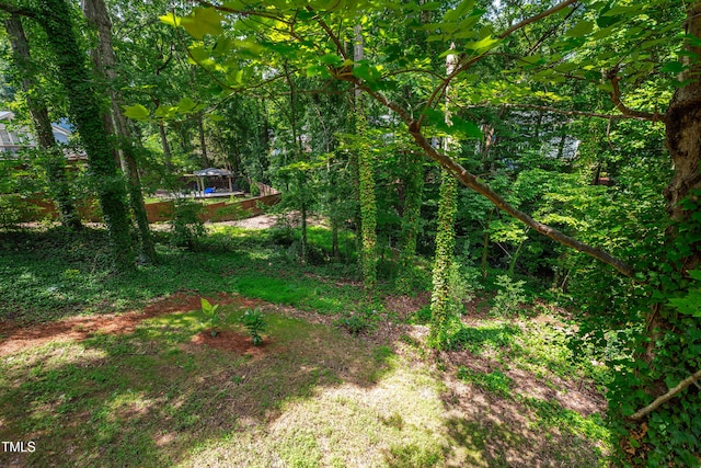 103 Escher Ln, Cary, NC 27511 - photo 36
