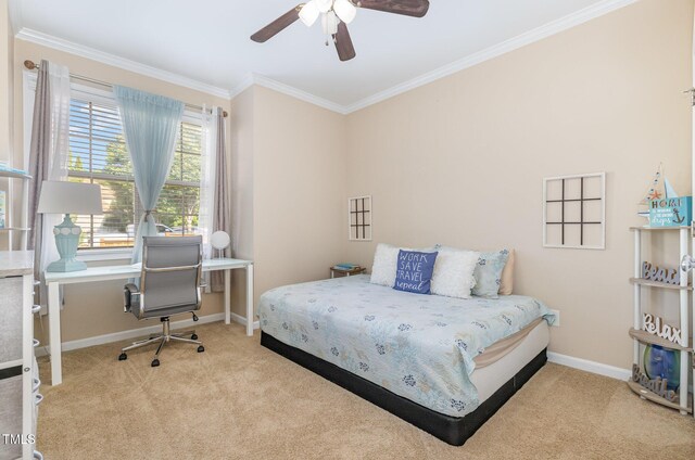 8602 Holdenby Trl, Raleigh, NC 27616 - photo 17
