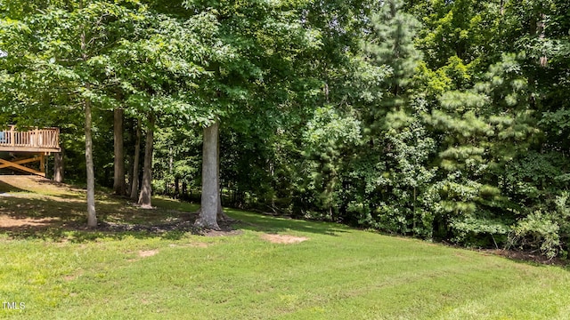 240 Carrington Ave, Franklinton, NC 27525 - photo 32