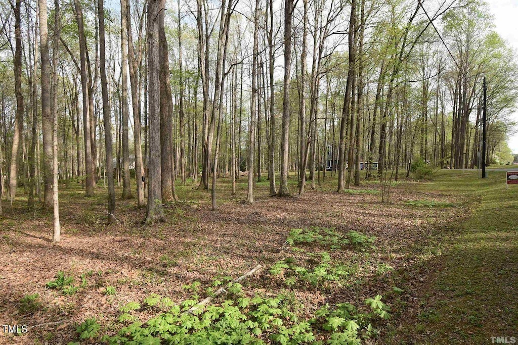605 Canotage Ct, Cedar Grove, NC 27231 - photo 3