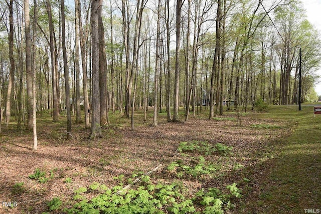 605 Canotage Ct, Cedar Grove, NC 27231 - photo 3