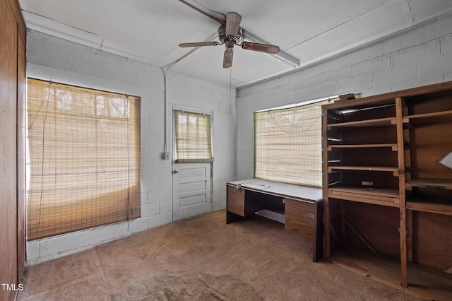 1823 E Geer St, Durham, NC 27704 - photo 53