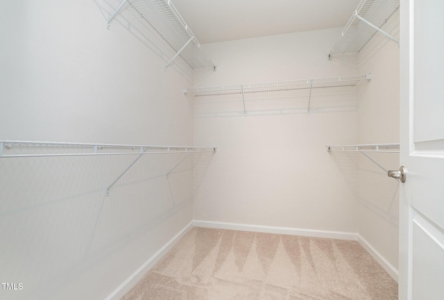130 Boarstall Crk, Durham, NC 27707 - photo 15