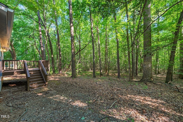 5500 Bobbitt Rd, Apex, NC 27539 - photo 19