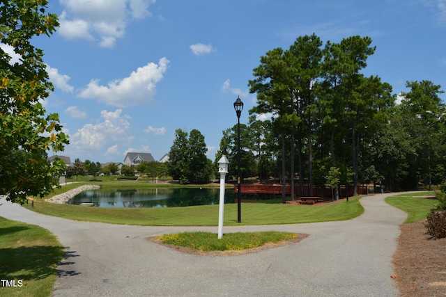 224 Thunder Forest Ln, Wendell, NC 27591 - photo 18