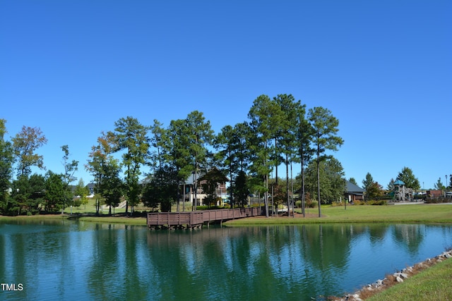 224 Thunder Forest Ln, Wendell, NC 27591 - photo 21