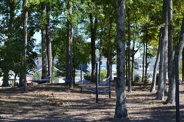 224 Thunder Forest Ln, Wendell, NC 27591 - photo 15