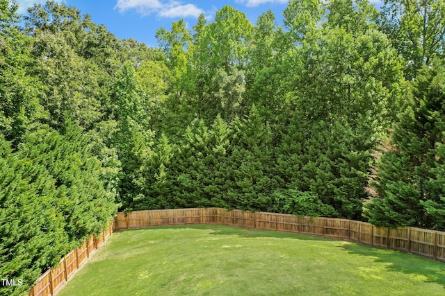285 Tuscarora Ln, Clayton, NC 27520 - photo 27
