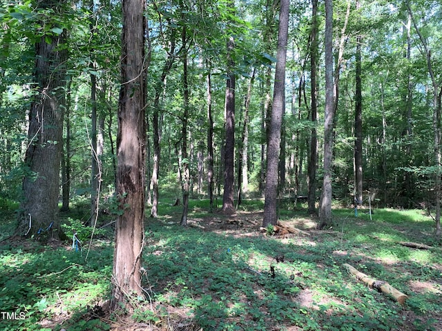 5663 NC Highway 751, Apex, NC 27523 - photo 8