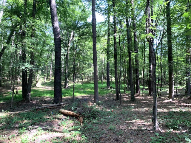 5663 NC Highway 751, Apex, NC 27523 - photo 9