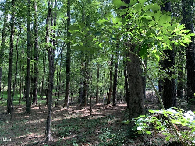 5663 NC Highway 751, Apex, NC 27523 - photo 10