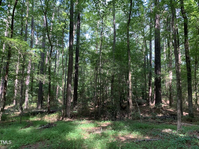 5663 NC Highway 751, Apex, NC 27523 - photo 11