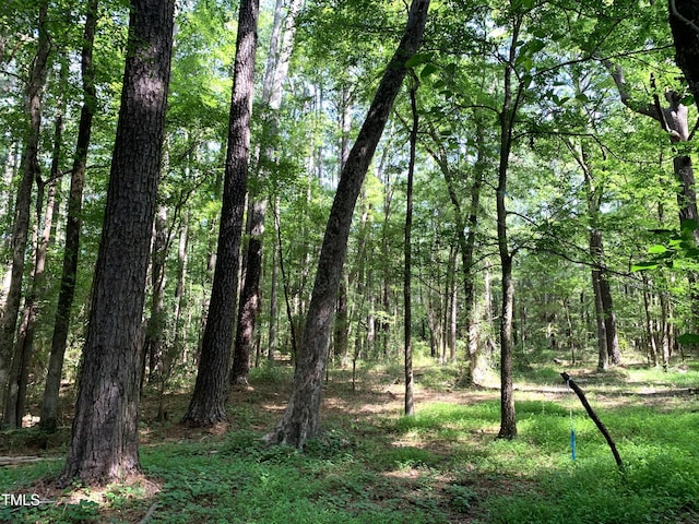 5663 NC Highway 751, Apex, NC 27523 - photo 12