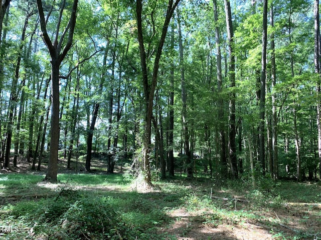 5663 NC Highway 751, Apex, NC 27523 - photo 14