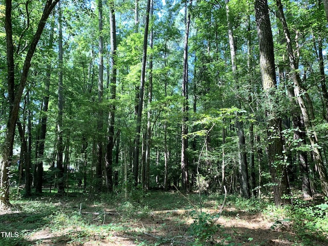 5663 NC Highway 751, Apex, NC 27523 - photo 15