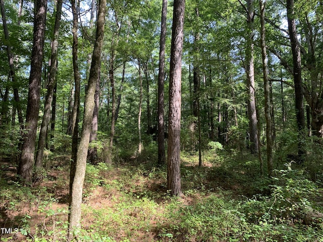 5663 NC Highway 751, Apex, NC 27523 - photo 17