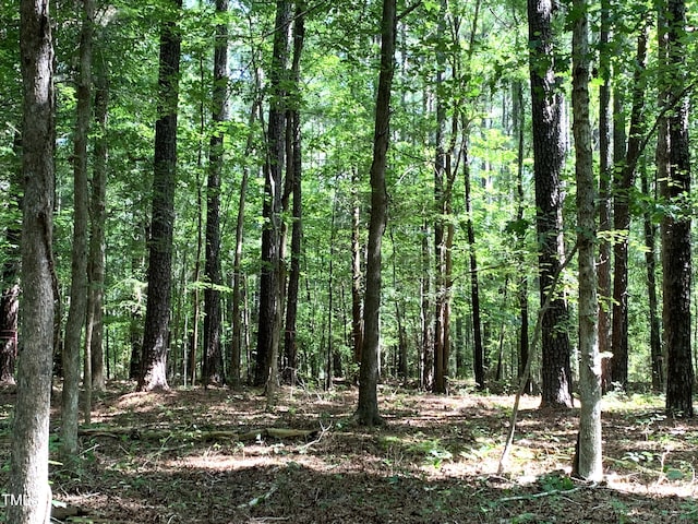 5663 NC Highway 751, Apex, NC 27523 - photo 18