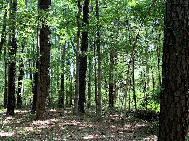 5663 NC Highway 751, Apex, NC 27523 - photo 19