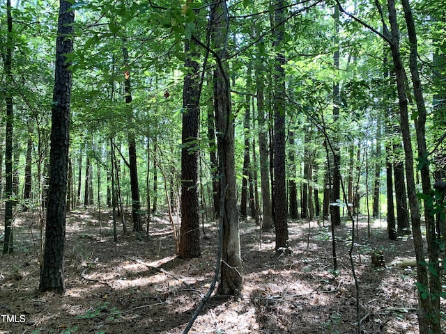 5663 NC Highway 751, Apex, NC 27523 - photo 24