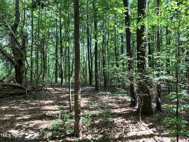 5663 NC Highway 751, Apex, NC 27523 - photo 25