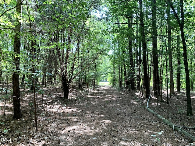5663 NC Highway 751, Apex, NC 27523 - photo 26