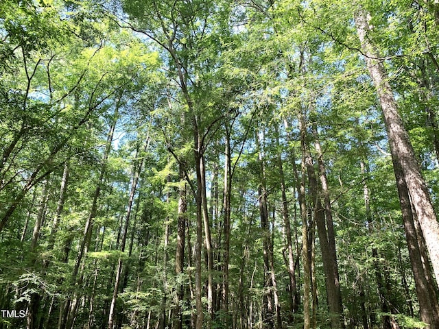5663 NC Highway 751, Apex, NC 27523 - photo 29