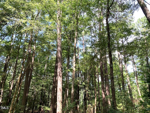 5663 NC Highway 751, Apex, NC 27523 - photo 27