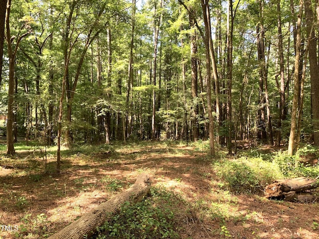 5663 NC Highway 751, Apex, NC 27523 - photo 28