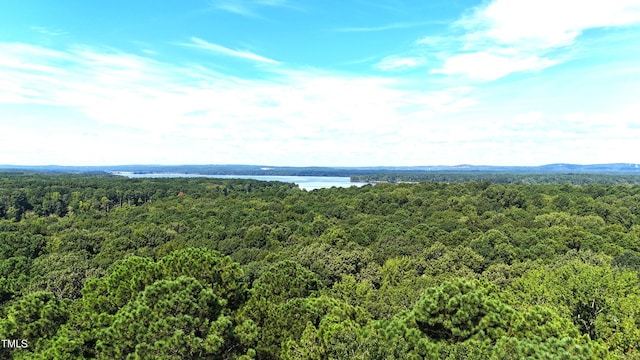 5663 NC Highway 751, Apex, NC 27523 - photo 6