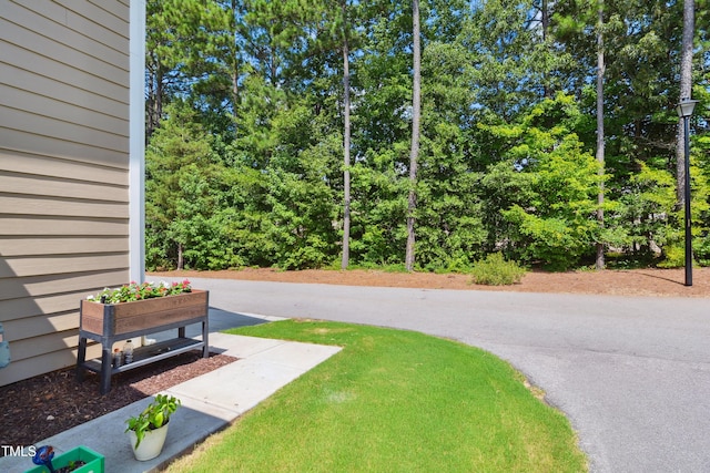 1137 Treetop Meadow Ln, Wake Forest, NC 27587 - photo 25
