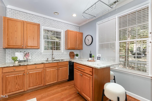 4620 Malone Ct, Raleigh, NC 27616 - photo 7