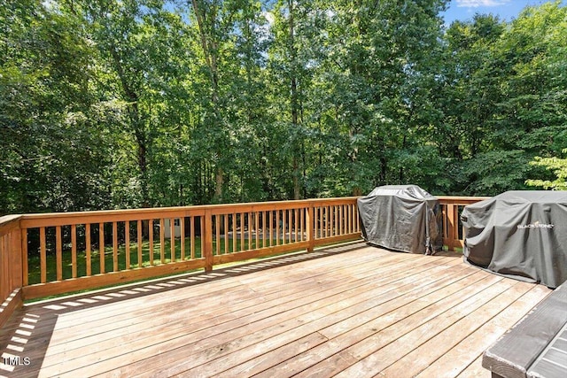 5112 Solemn Grove Rd, Garner, NC 27529 - photo 11
