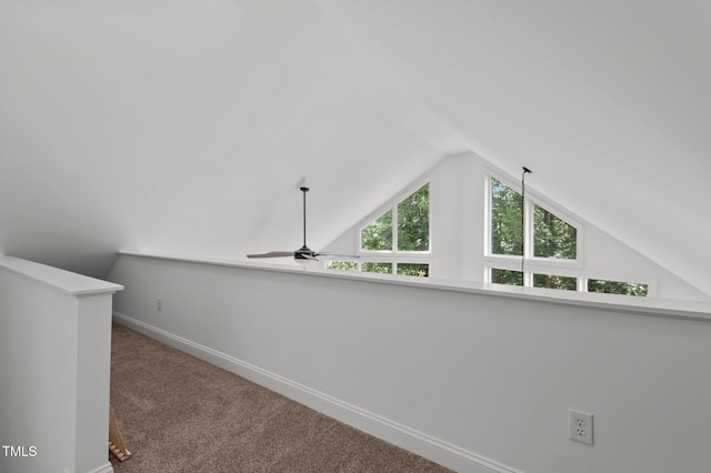 287 Somerset Ln, Henderson, NC 27537 - photo 48