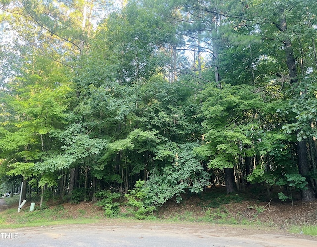 6699 Crowned Ct, Zebulon, NC 27597 - photo 7