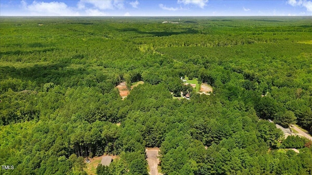 6699 Crowned Ct, Zebulon, NC 27597 - photo 5