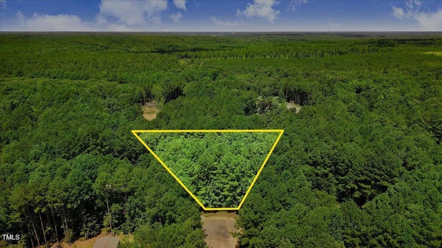 6699 Crowned Ct, Zebulon, NC 27597 - photo 2