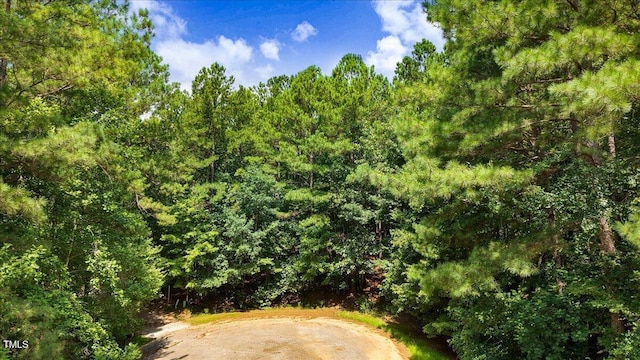 6699 Crowned Ct, Zebulon, NC 27597 - photo 6