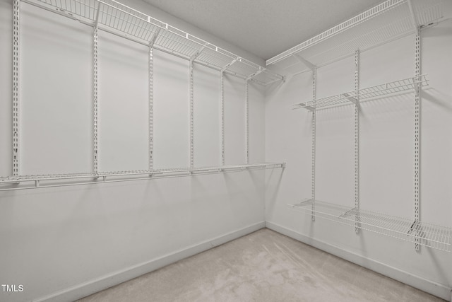 12309 Timbercroft Ct, Raleigh, NC 27613 - photo 28