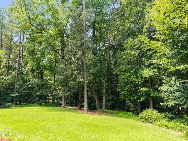 12309 Timbercroft Ct, Raleigh, NC 27613 - photo 41