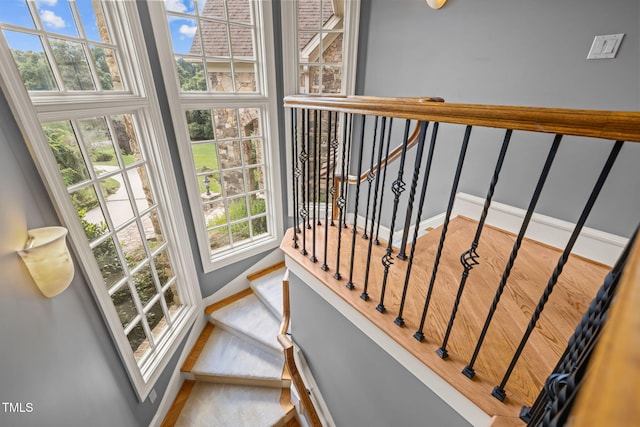 308 Swans Mill Xing, Raleigh, NC 27614 - photo 67